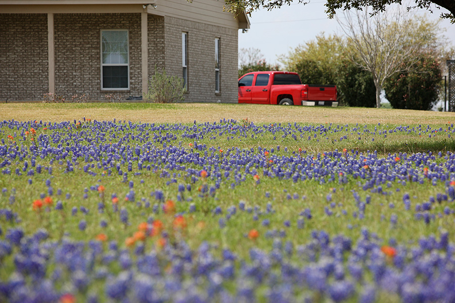 texas-housing-market